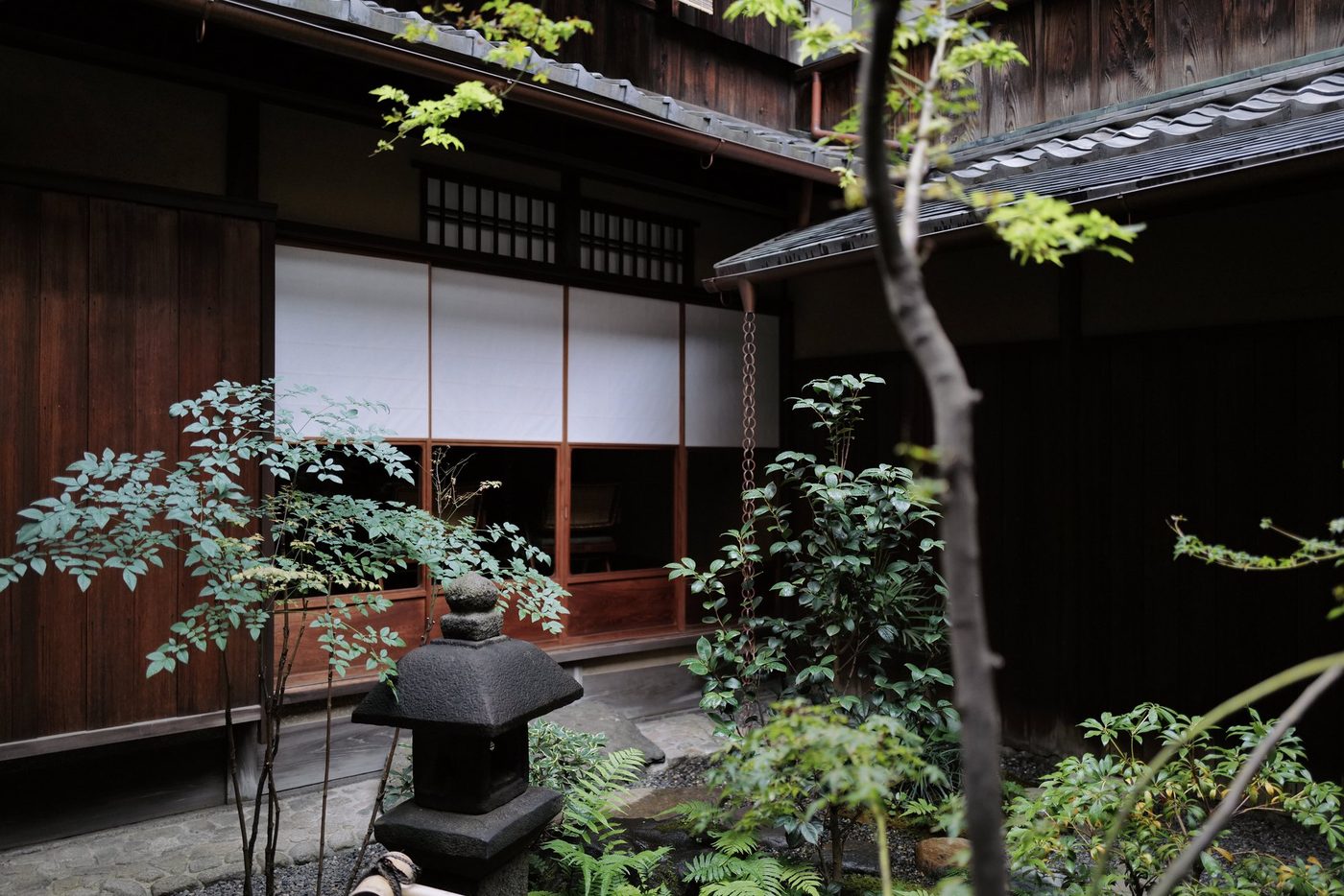 The courtyard garden of Taka Ishii Gallery Kyoto