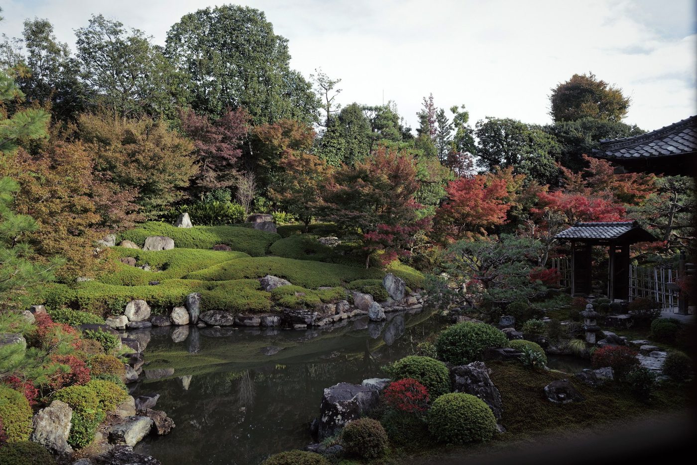 Ryosoku-in, Kennin-ji: the pond garden in autumn